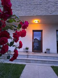 Casa verde 1 - Pantelimon - 7