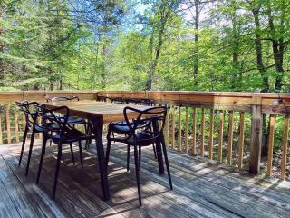 Interior Designed Chalet - Fireplace Pool Beach Lake - Lake Ariel - 7