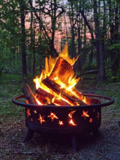 Interior Designed Chalet - Fireplace Pool Beach Lake - Lake Ariel - 5