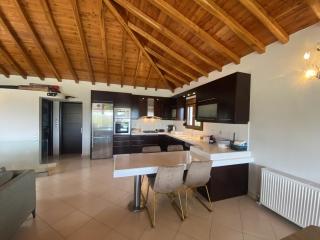 Runway Mansion, stunning views and lots of space - Città di Skiathos - 8