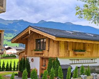 KITZALPEN Pension - Hollersbach im Pinzgau - 7