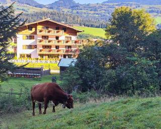 KITZALPEN Pension - Hollersbach im Pinzgau - 9
