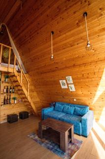 Lake House in Sioni - 9