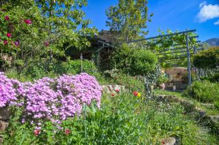 Teresa - Garden Terrace Splendid view - by TGB - 6