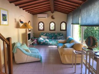 Un îlot tropical en Cévennes - Saint-Privat-des-Vieux - 8