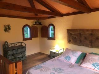 Un îlot tropical en Cévennes - Saint-Privat-des-Vieux - 3