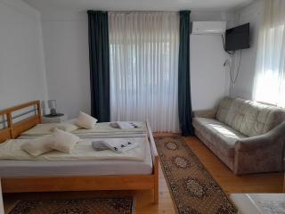 Casa Teonia - Tăşnad - 3