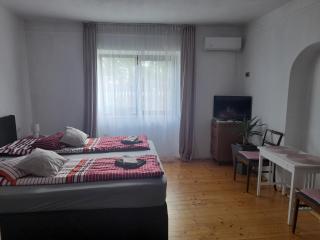 Casa Teonia - Tăşnad - 4