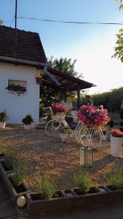 Casa Teonia - Tăşnad - 5