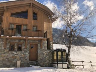 Chalet L'envers - Champagny-en-Vanoise - 0