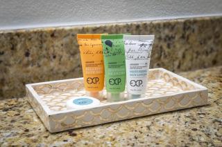 Exquisite 1BR Oceanview Suite, Dogs OK! 1504 - Myrtle Beach - 2