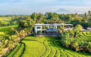 Tippo's Bali Villas - Tabanan - 9