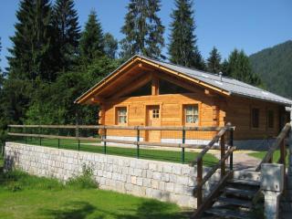 Chalet Camping Faè 3 - Madonna di Campiglio - 0