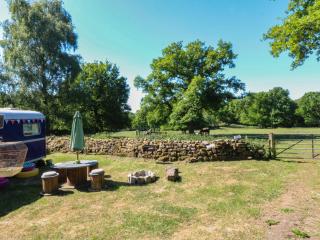 The Greatest Showman - Ipstones - 9