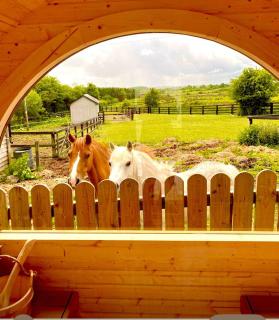 Heather Cottage and Shepherds Hut - Knock - 4