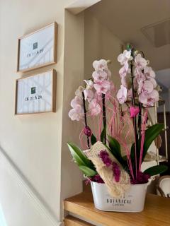 Maison Bonaparte - 1