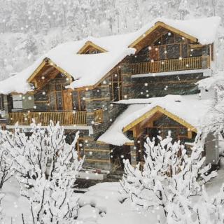 Tree hill cottages - Jāmb - 5