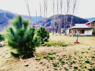 Country Club Resorts, Balakot - Riverside Cottages & Apartments - 4