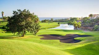Green park 226 - San Miguel de Abona - 5