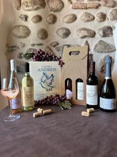 Agriturismo Colombarola - Sona - 5