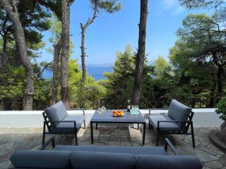Villa Nova 2 Cozy 2-bedroom villa near Kanapitsa - Città di Skiathos - 8