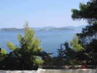 Villa Nova 2 Cozy 2-bedroom villa near Kanapitsa - Città di Skiathos - 6