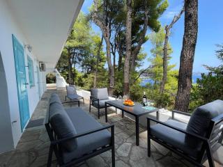 Villa Nova 2 Cozy 2-bedroom villa near Kanapitsa - Città di Skiathos - 5