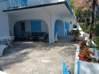 Villa Nova 2 Cozy 2-bedroom villa near Kanapitsa - Città di Skiathos - 3