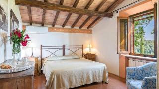 Tenuta Bonelli - Castelnuovo Berardenga - 6