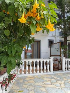 Garden Villa Veli - Ksamil - 9