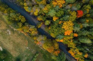 Broad Brook Cabin between Woodstock & Killington - Bridgewater - 7