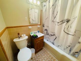 Lovely Spacious 1br Apt - 1