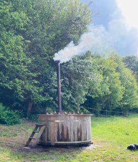 Glamping with outdoor wood-fired hot tub - Vissenbjerg - 1