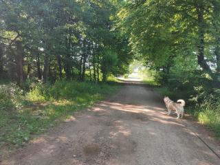 Le chalet des Sarteaux - 4