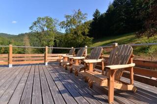 Domaine du Petit Dorsbach - Soultzbach-les-Bains - 8