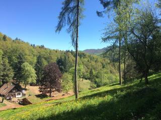 Domaine du Petit Dorsbach - Soultzbach-les-Bains - 7