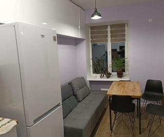 Apartament Zamarstynivska - Lviv - 1