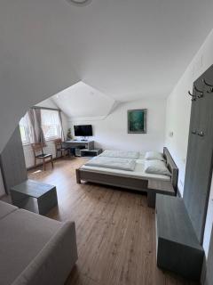 Guesthouse Tolc - Spodnja Sorica - 3
