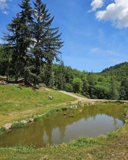 Domaine du Petit Dorsbach - Soultzbach-les-Bains - 5