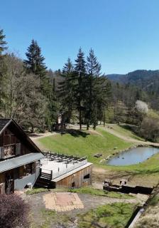 Domaine du Petit Dorsbach - Soultzbach-les-Bains - 4