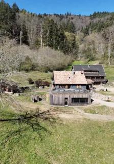 Domaine du Petit Dorsbach - Soultzbach-les-Bains - 3