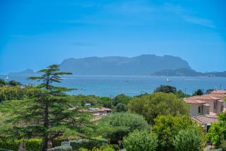 Bilocale Conchiglia 1 - Olbia - 7