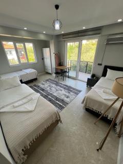 Panorama house - Denizli - 8