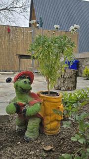 Dağ Havası - Kükü kəndi - 3