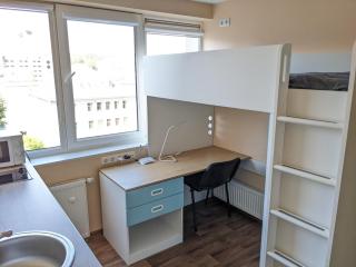 Mini Studio Apartment - Kaunas - 8