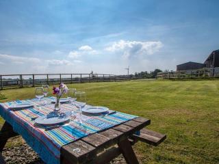 Billy's Barn - Holsworthy - 7