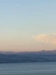 הכינרת מולי - Tiberias - 3