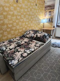 Vyšehrad flat 2 private rooms for up to 4 guests Center & Congress - Prag - 3