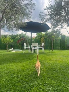 Villa Visi - - 6