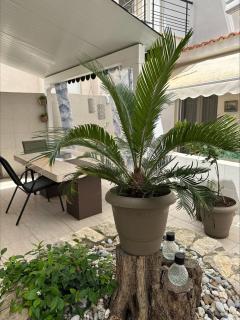 Studio Green Patio - Chaniotis - 5
